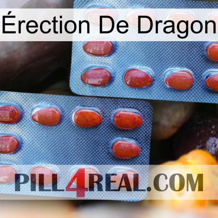 Érection De Dragon 05